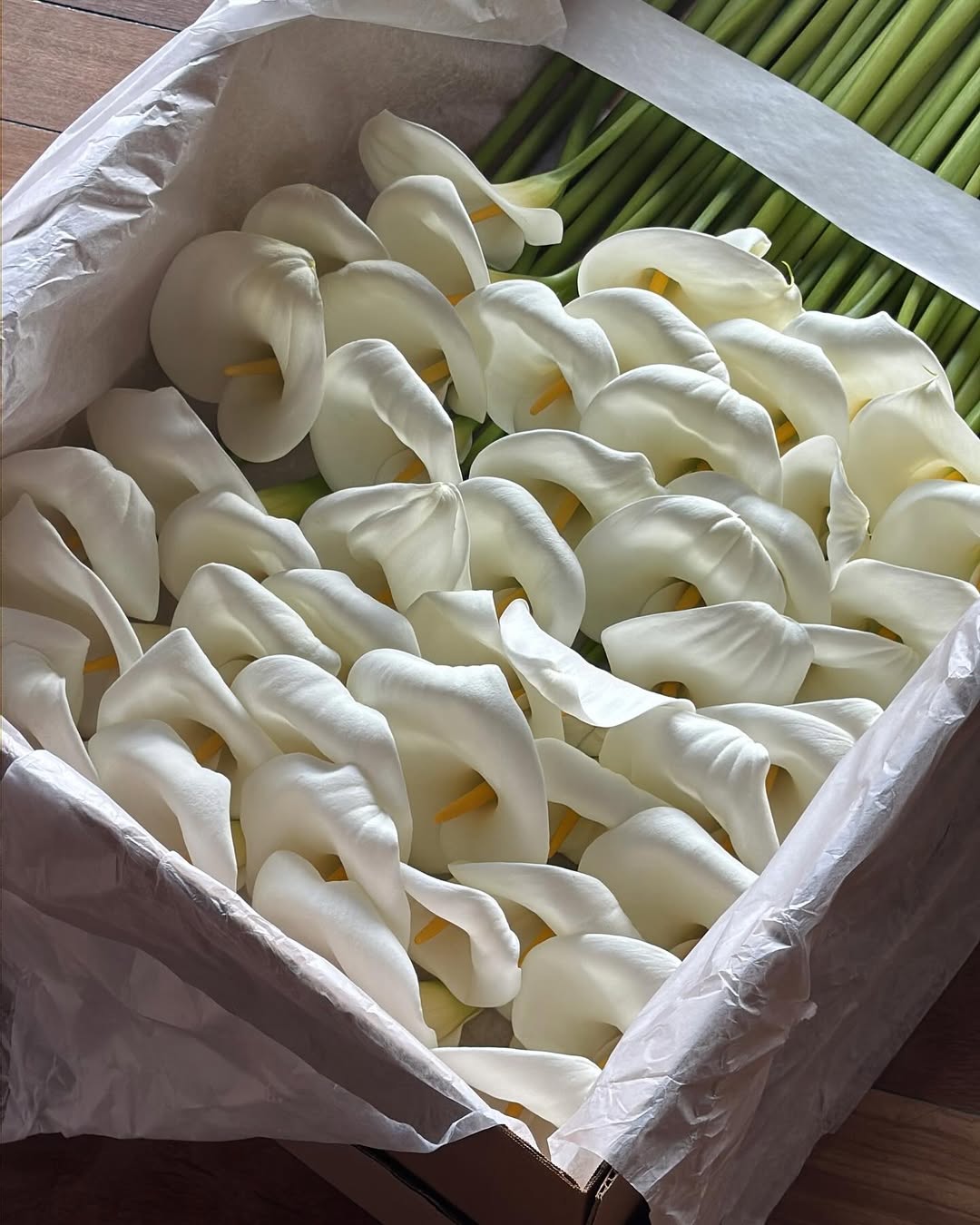 Alcatraz diseño floral bodas