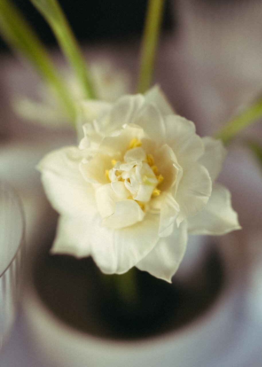 Real Wedding Christina Dmitry