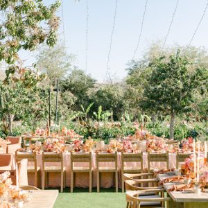 Wedding Taylor and Steve, Wedding in Zadun Ritz Carlton, San Jose del Cabo Mexico.